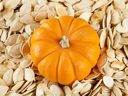 ۱۳ خاصیت تخمه کدو برای حفظ سلامت بدن
