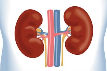 آسیب‌های کلیوی سن و سال نمی‌شناسد