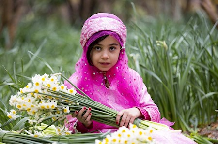 نرگس زارهای بخش خفر از توابع شهرستان جهرم