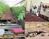 کسب رتبه سوم ایلام در زمینه ایجاد اشتغال