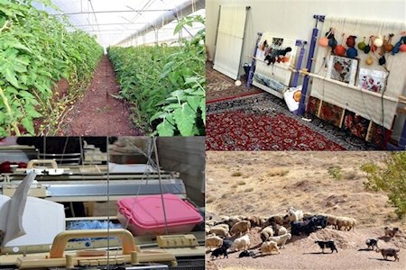 کسب رتبه سوم ایلام در زمینه ایجاد اشتغال