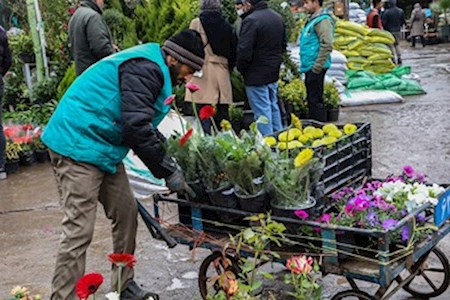 بازارگل تهران در آستانه نوروز ۱۴۰۱