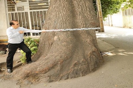 ثبت ۳ اثر طبیعی و ناملموس منطقه ۵ در فهرست ملی