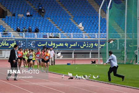 بالاگرفتن اختلاف وزیر ورزش با فدراسیون دوومیدانی