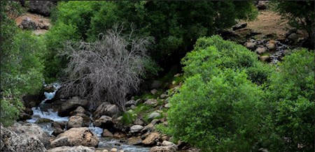 آبشار «ازنادر» لرستان