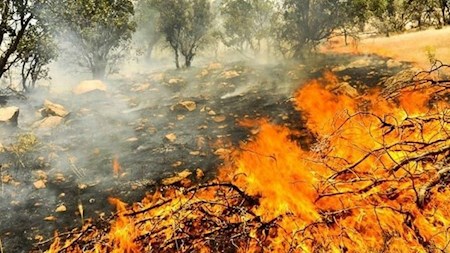 بالگردها در راه مبارزه با آتش‌سوزی جنگل‌های مازندران