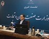 انتشار جزئیات آئین نامه واردات خودرو؛ هفته آینده