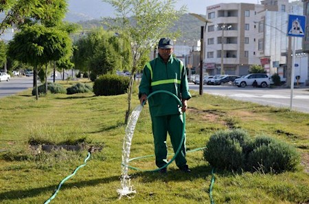 ضرورت آبیاری فضای سبز تهران با پساب