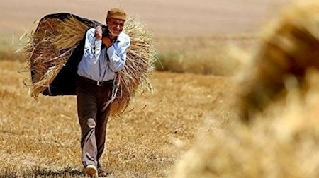 مطالبات گندم کاران صفر شد