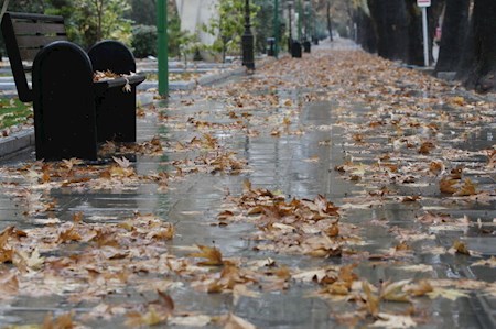 بارندگی در این ۵ استان