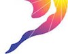 اضافه شدن 5 رشته به المپیک 2028