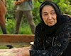 وداع و تشییع هنرمند پیشکسوت سینمای ایران در رشت