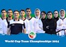 تکواندوکاران ایران در ترکیبی نائب قهرمان شدند