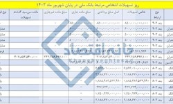 وام‌های عجیب بانک ملی به اشخاص زیرمجموعه خود