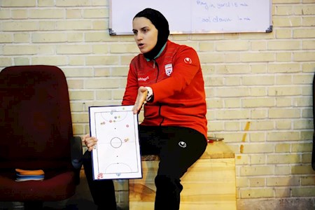 انتقاد شجاعی از نیلوفر اردلان