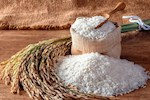 کاهش ۳۵ درصدی قیمت برنج شمال در بنکداریها
