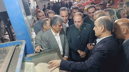 مطالبات چای‌کاران تا یک هفته دیگر پرداخت می‌شود
