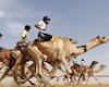 اولین اعزام بین المللی شترسواری ایران
