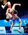 قهرمانی زودهنگام فرنگی کاران ایران در جهان