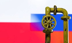 قیمت نفت افزایش یافت
