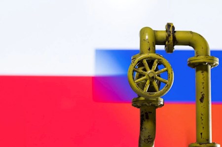 قیمت نفت افزایش یافت