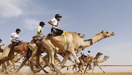 گاف بزرگ کمیته ملی المپیک