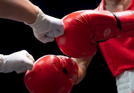 فدراسیون بوکس زمین دار شد