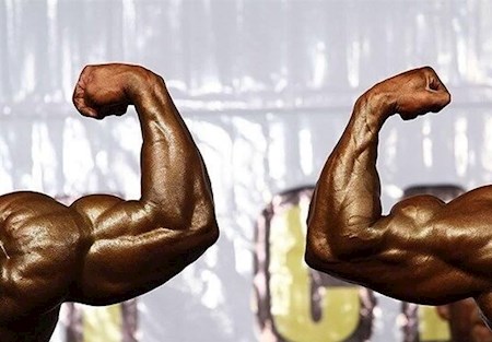 نائب قهرمانی بدنسازان ایران در جهان