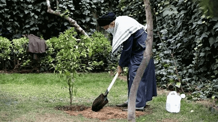 درختکاری جامعه ورزش بیاد امام شهید