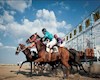 مجمع سوارکاری آسیا لغو شد