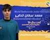 یک مدال طلا در تکواندوی نوجوانان جهان