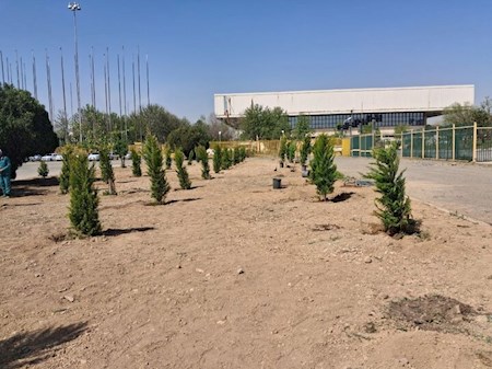 بیاد دختران شهید آزادی سرو باران شد