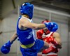 معرفی کادرفنی تیم ملی ووشو