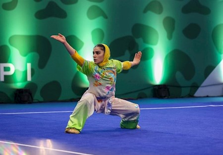 حضور ووشوکاران در جام جهانی شانگهای