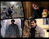 اکران ویژه فیلمهای سینمایی عاشورایی