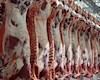 تشریفات اداری گمرکی واردات گوشت حذف شد