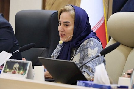 گلایه های رئیس کانون زنان بازرگان ایران