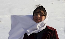 به بهانه اکران فیلک کوتاه دابر