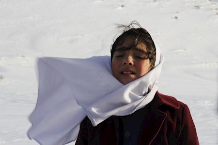 به بهانه اکران فیلک کوتاه دابر