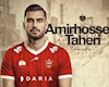 مدافع نیروی زمینی در پرسپولیس