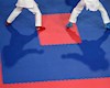 اقای وزیر به داد کاراته برسید