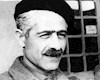 رمان مدیر مدرسه آل احمد سریال می شود