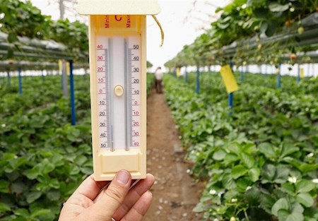 احتمال سرمازدگی در مناطق سردسیر