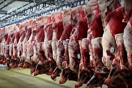 ابهامات کشتارو عرضه گوشت اسب و قاطر و الاغ