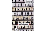 نگاهی به کتاب جمعیت تنها