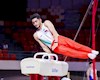 هلند به ژیمناست ایران ویزا نداد