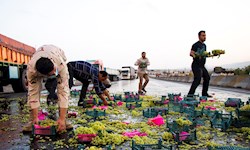 کمک رسانی به کامیون واژگونشده